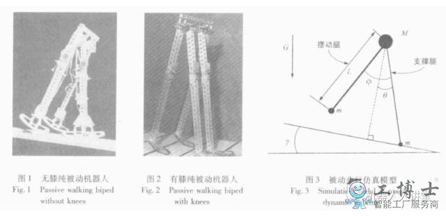 机（jī）器人日行（háng）十万步却无（wú）需动力源 完美的机械结构让你开始怀疑人生