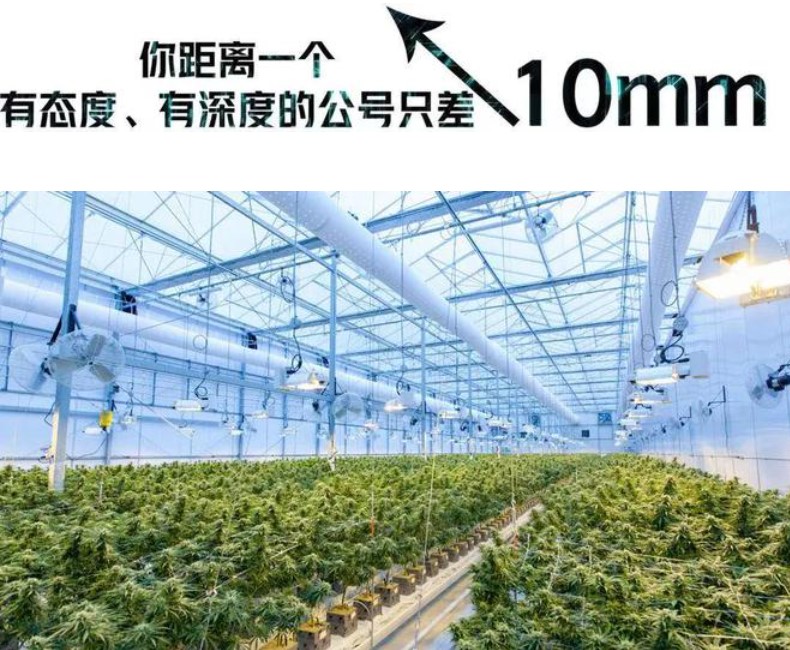 &#20048;&#21160;&#32593;&#39029;&#29256;&#95;&#20048;&#21160;&#40;&#20013;&#22269;&#41;